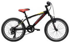 Bottecchia Junior MTB 20”