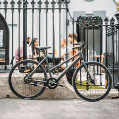 Bleubird Urban E-Bike Step Through