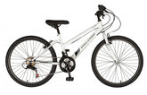 Falcon Aurora 24" Bike