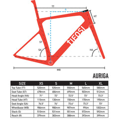 Tifosi Auriga Caliper Silver Frameset-Tifosi-S-Silver-Chain Driven Cycles-Bike Shop-Ireland