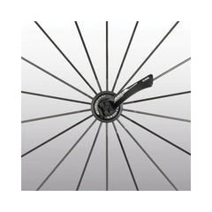 Miche Syntium AXY wheeelset (shimano 11sp)-Miche-Chain Driven Cycles-Bike Shop-Ireland