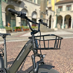 Bottecchia E-Cargo FATTY Electric Bike