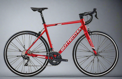 Bottecchia Duello Road Racing Bike