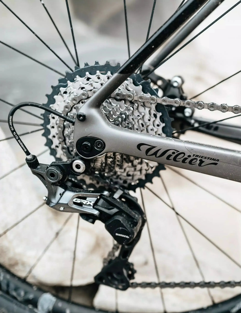 wilier triestina jena gravel bike Wilier Jena GRX 11S Gravel Bike 2025