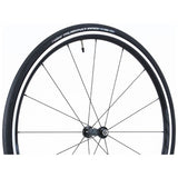 Vittoria Rubino Pro G+ Isotech Foldable Road Tyre-Vittoria-23mm-Chain Driven Cycles-Bike Shop-Ireland