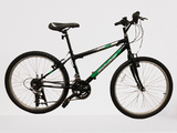 Kids Bike 10 Month Payment Plan-Bicycles-Chain Driven Cycles-DMC Excel 24BG €55 + (10 x €20 monthly)-Chain Driven Cycles-Bike Shop-Ireland
