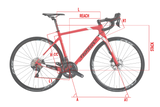 Wilier GTR Team Disc bike