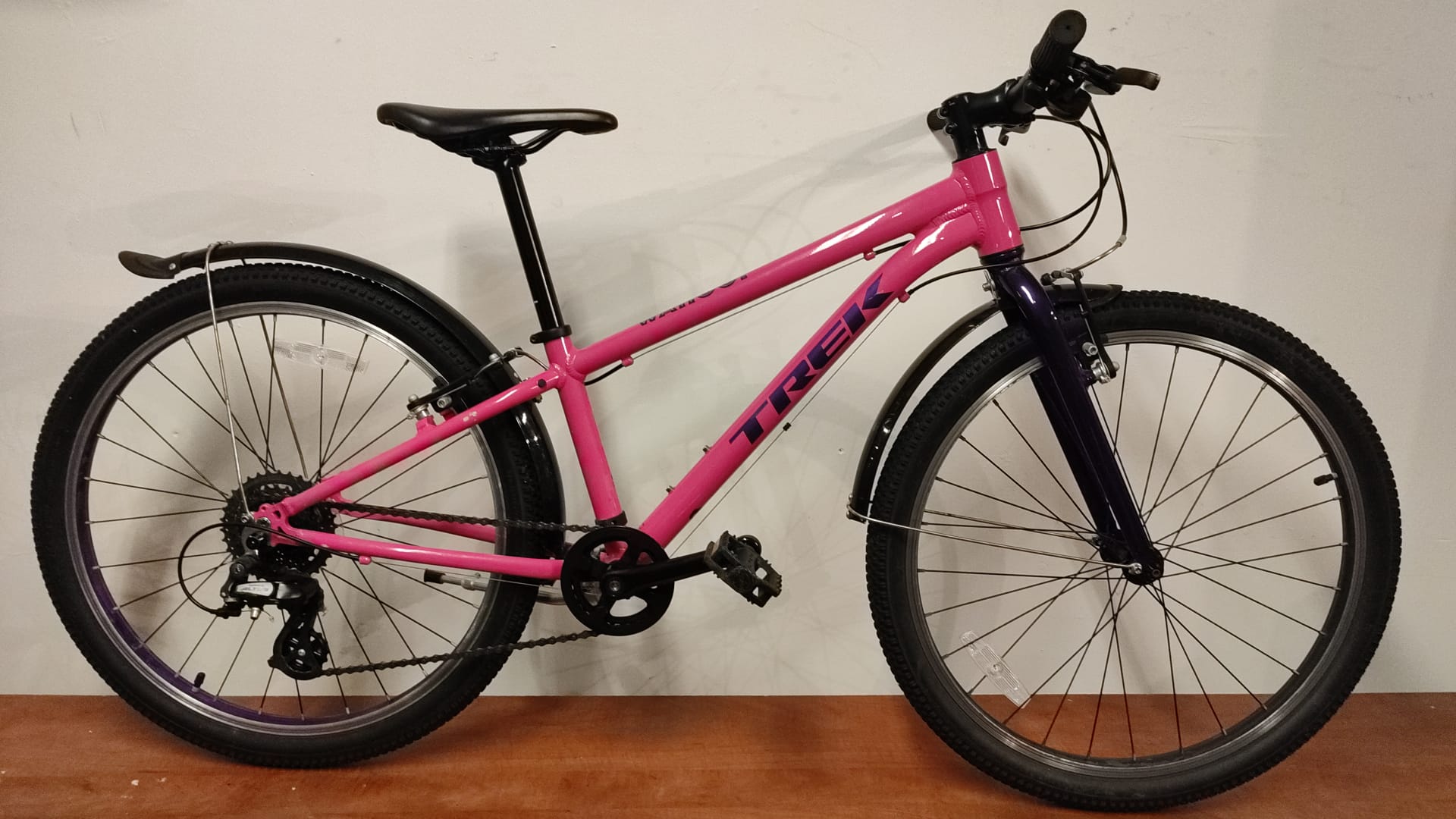 Trek wahoo 24 online review