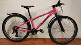 Trek Wahoo 24 Kids bike