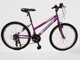 Kids Bike 10 Month Payment Plan-Bicycles-Chain Driven Cycles-DMC Excel 24PW €55 + (10 x €20 monthly)-Chain Driven Cycles-Bike Shop-Ireland
