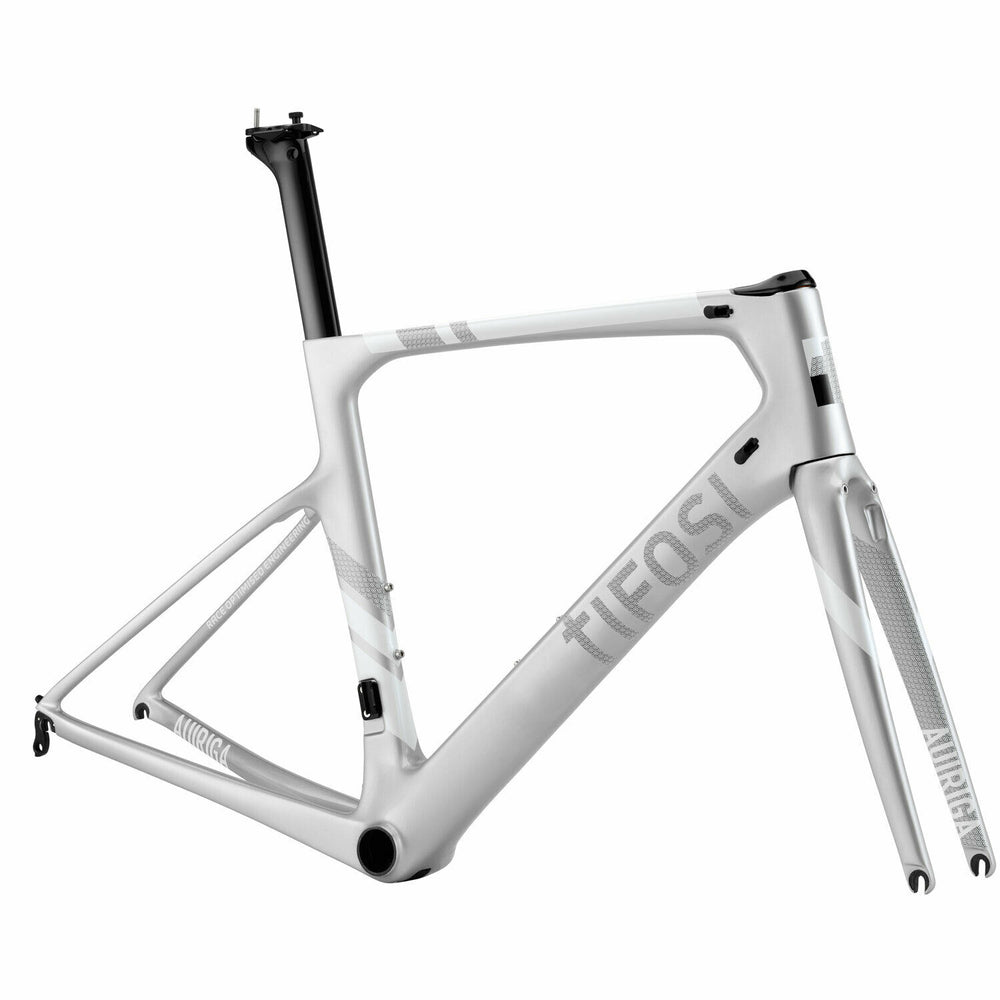 Tifosi Auriga Caliper Silver Frameset-Tifosi-S-Silver-Chain Driven Cycles-Bike Shop-Ireland